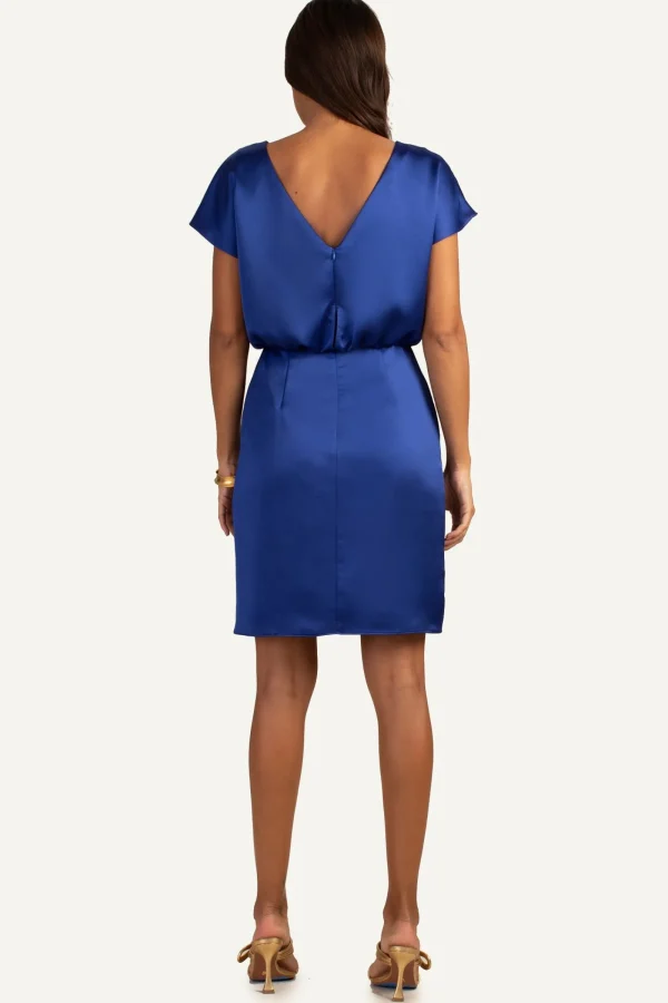 Women Trina Turk Amuse Dress