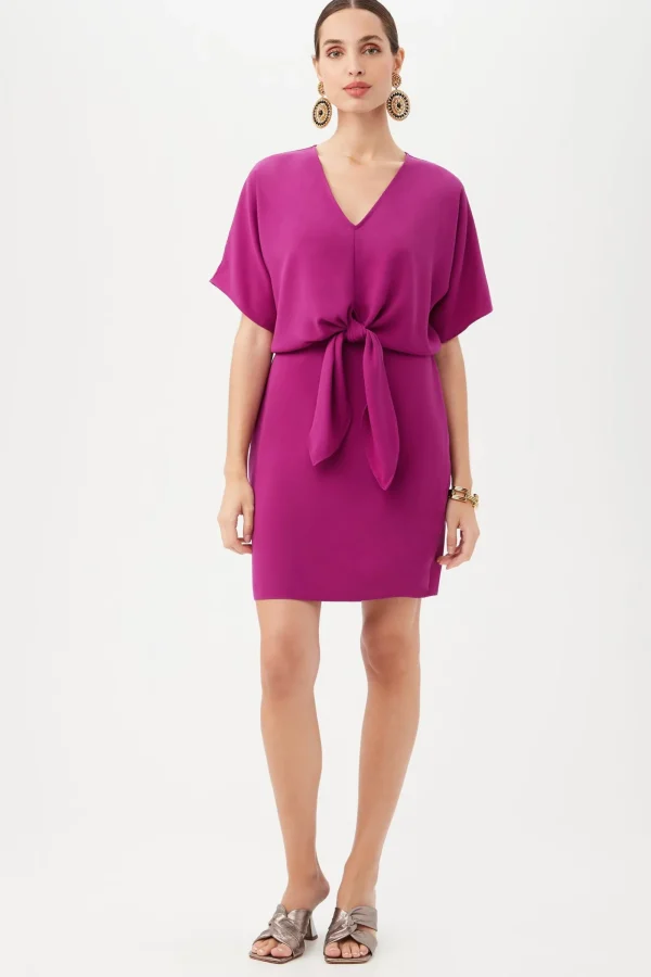 Women Trina Turk Argan Dress