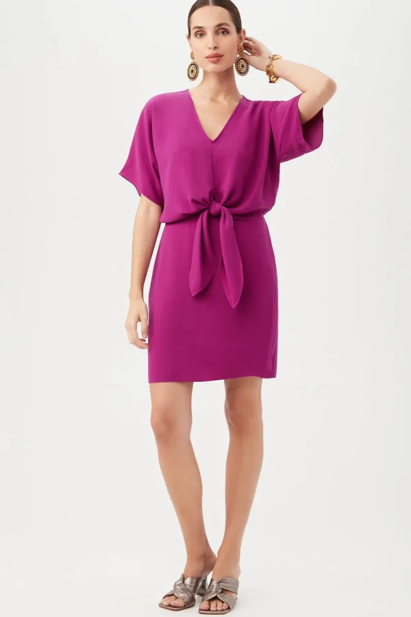 Women Trina Turk Argan Dress