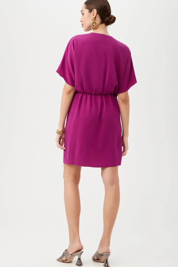 Women Trina Turk Argan Dress