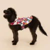 Trina Turk Bubble Dots French Terry Pet Pajama Jacket