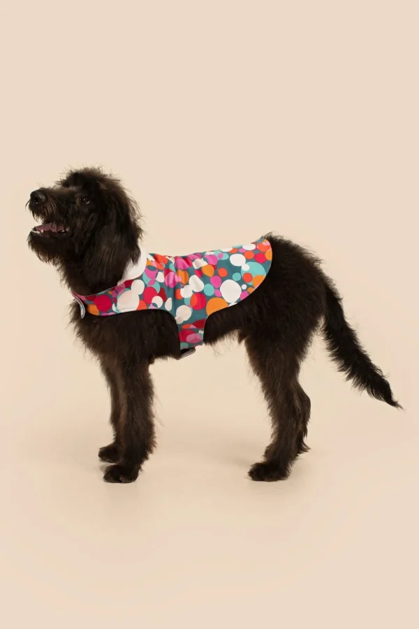 Trina Turk Bubble Dots French Terry Pet Pajama Jacket