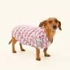 Trina Turk Dog Walk Jersey Pet Pajama Shirt