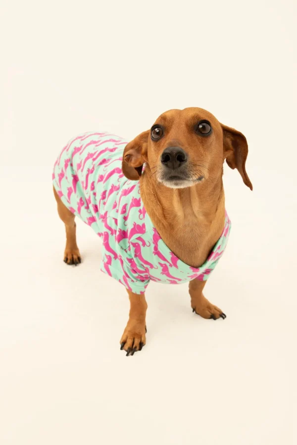 Trina Turk Dog Walk Jersey Pet Pajama Shirt