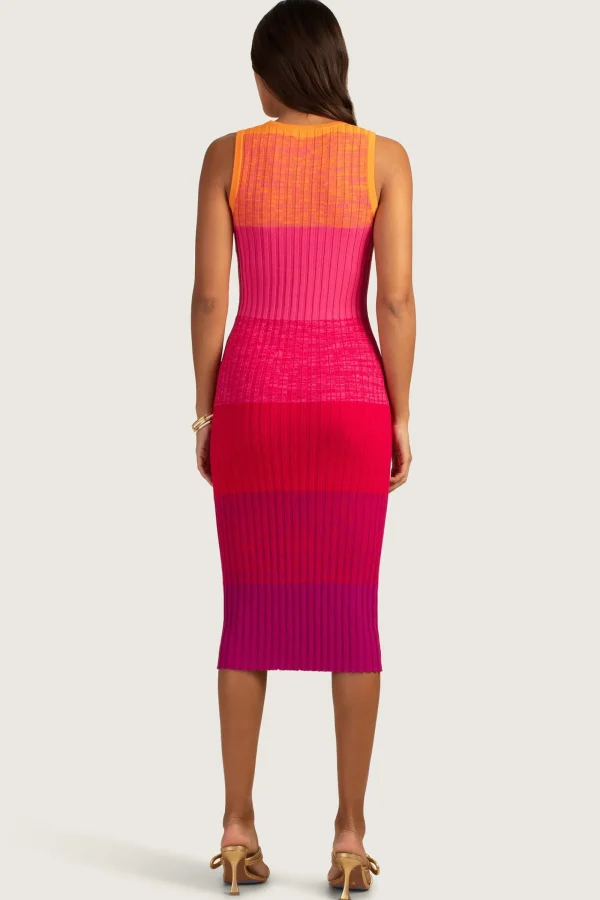 Women Trina Turk Gibraltar Dress