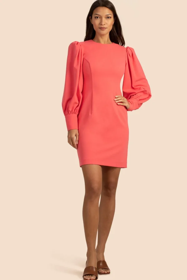 Women Trina Turk Incomparable Dress