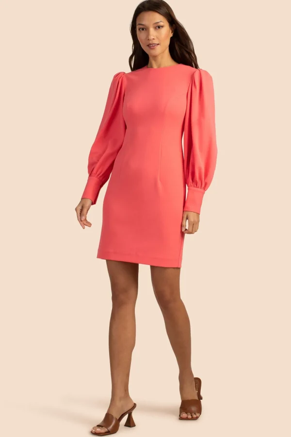 Women Trina Turk Incomparable Dress