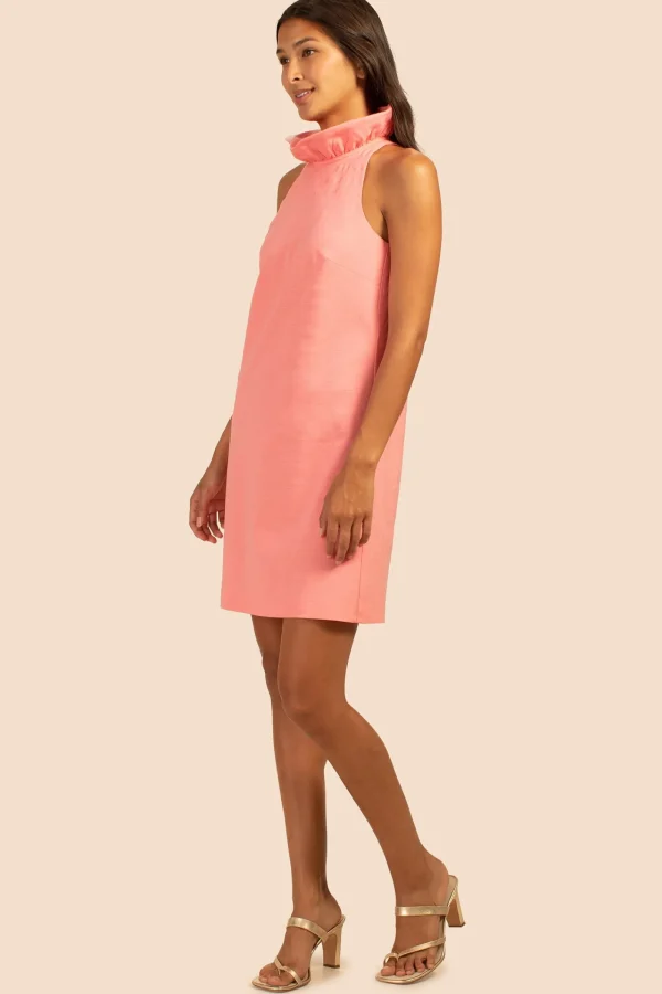 Women Trina Turk Peach Dress