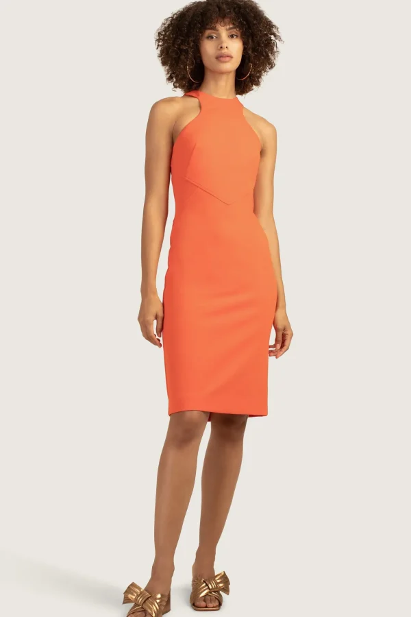 Women Trina Turk Promise Dress