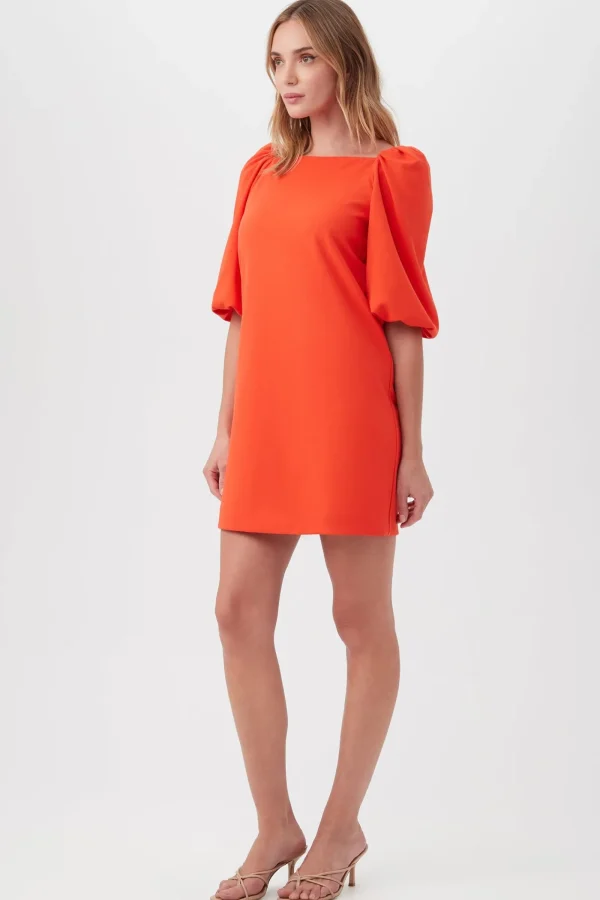 Women Trina Turk Symphony Dress