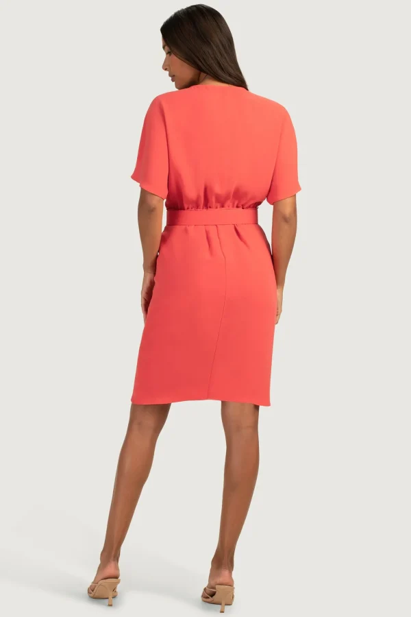 Women Trina Turk Zest Dress